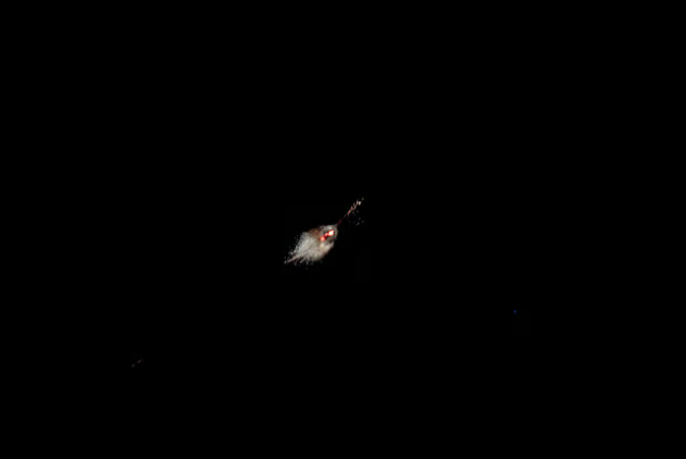 Screenshot 2025-06-24 011340