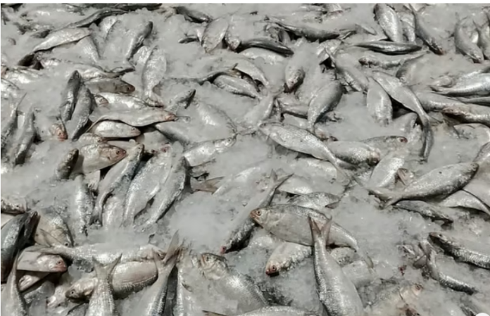 Screenshot 2025-10-28 235134