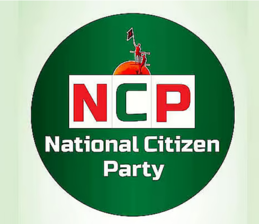 বিএনপির কাছে ২০ আসন চায় এনসিপি, চায় মন্ত্রিসভায়ও হিস্যা