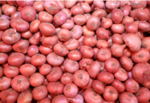 পেঁয়াজ আমদানির সুপারিশ করেছে ট্যারিফ কমিশন, দাম কমবে কি