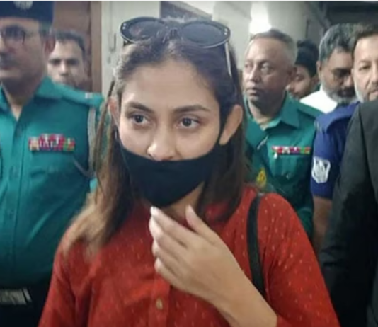 আদালতে আত্মসমর্পণ করে জামিন পেলেন মেহজাবীন