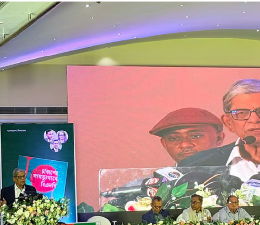 আমরা ট্রানজিশনাল পিরিয়ডে আছি, একটা দোলাচল চলছে: মির্জা ফখরুল