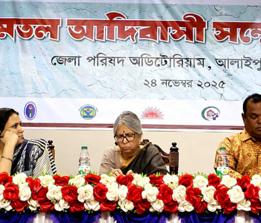 মানবাধিকার লঙ্ঘিত হলেই দেশে শান্তি লঙ্ঘিত হবে: সুলতানা কামাল