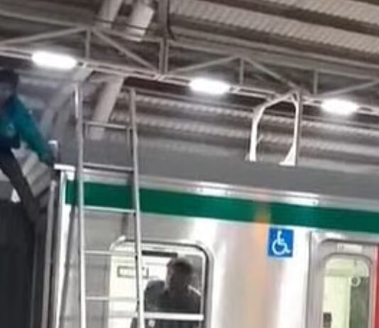 মেট্রোরেলের ছাদে উঠলেন দুই ব্যক্তি, বন্ধ ট্রেন চলাচল