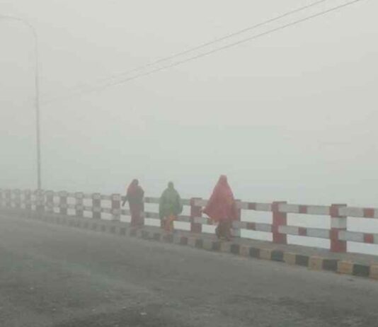 ধেয়ে আসছে শৈত্যপ্রবাহ, তাপমাত্রা নেমে গেছে ১১ ডিগ্রিতে